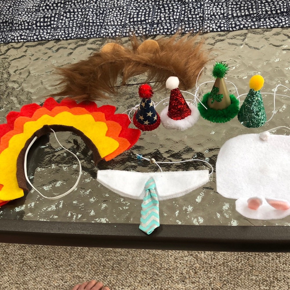 Small animal wardrobe